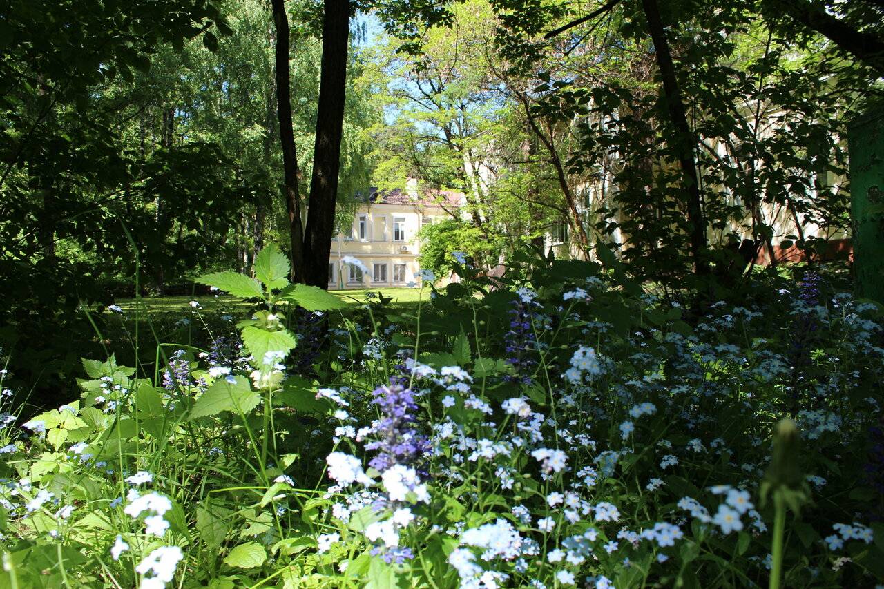 Фото Гостиницы Лось Москва 18