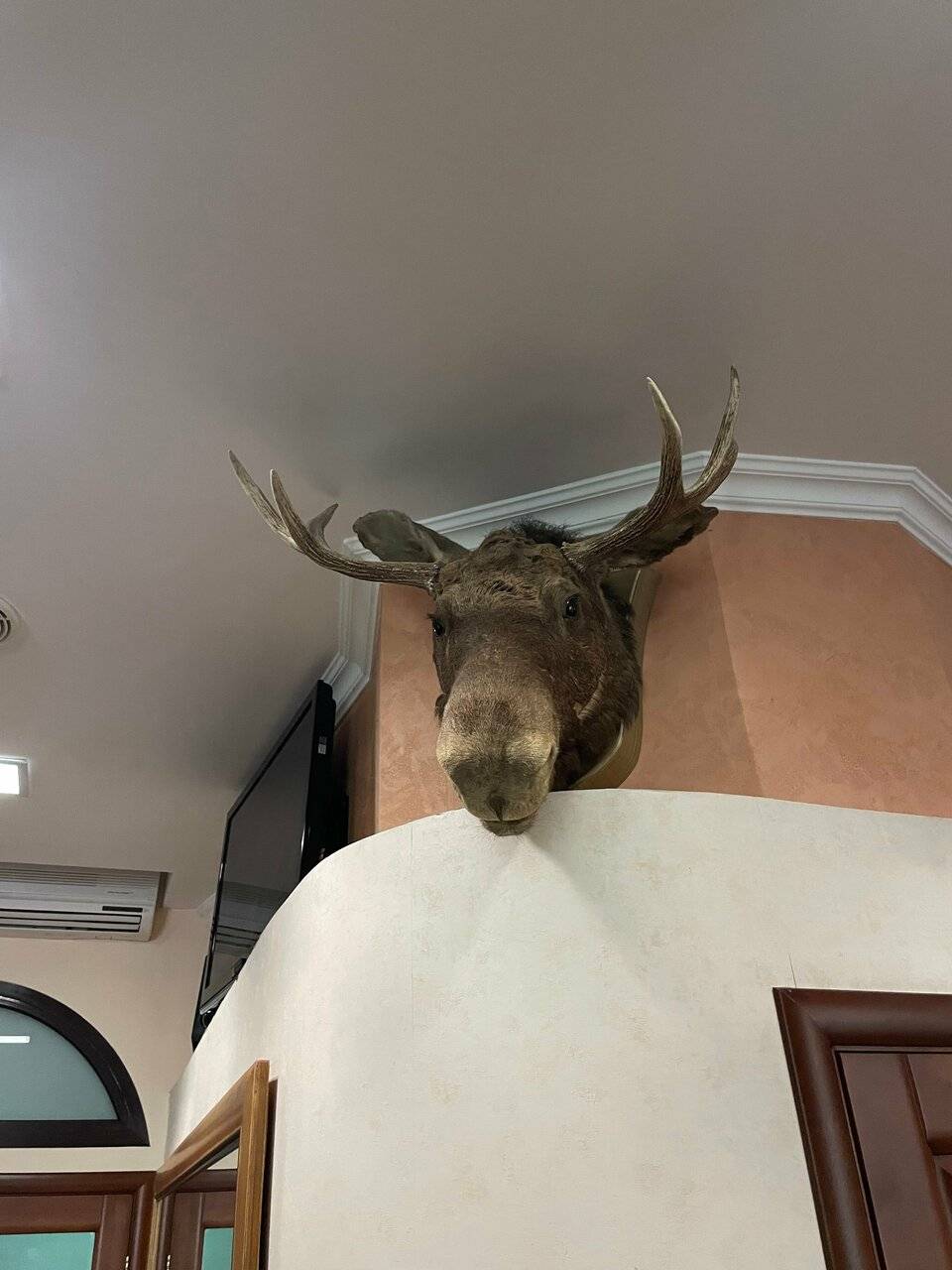 Фото Гостиницы Лось Москва 127